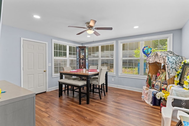 1369 Lida St, Dalton, GA 30721 - dining area featuring a ceiling fan, wood finished floors, plenty of natural light, and recessed lighting