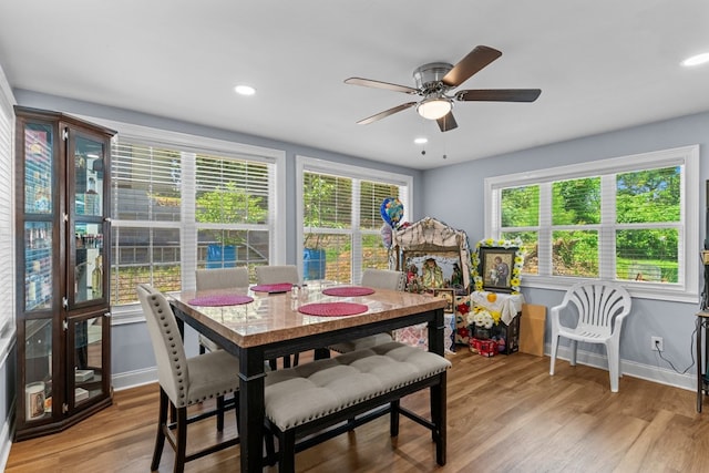 1369 Lida St, Dalton, GA 30721 - dining space with ceiling fan, wood finished floors, and recessed lighting