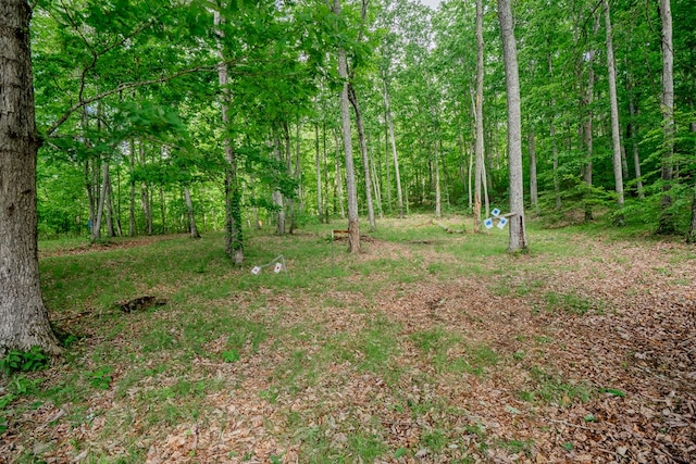 2163 Red Leaf Ln, Soddy Daisy, TN 37379 - view of wooded area