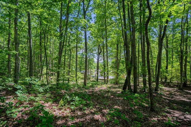 2163 Red Leaf Ln, Soddy Daisy, TN 37379 - view of wooded area
