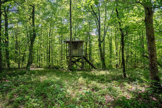 2163 Red Leaf Ln, Soddy Daisy, TN 37379 - view of outbuilding featuring a forest view and stairs