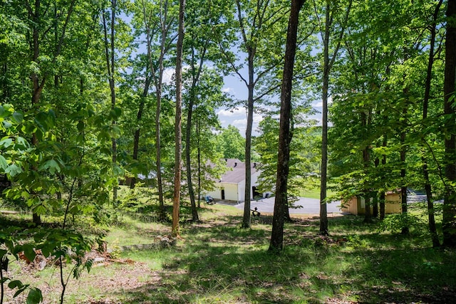 2163 Red Leaf Ln, Soddy Daisy, TN 37379 - view of undeveloped land