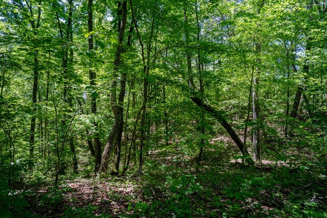 2163 Red Leaf Ln, Soddy Daisy, TN 37379 - view of woods