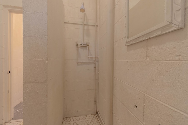 5384 Blair Rd, Cohutta, GA 30710 - bathroom view of concrete block wall