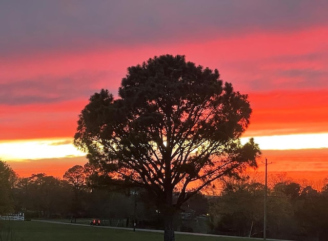 view of nature at dusk