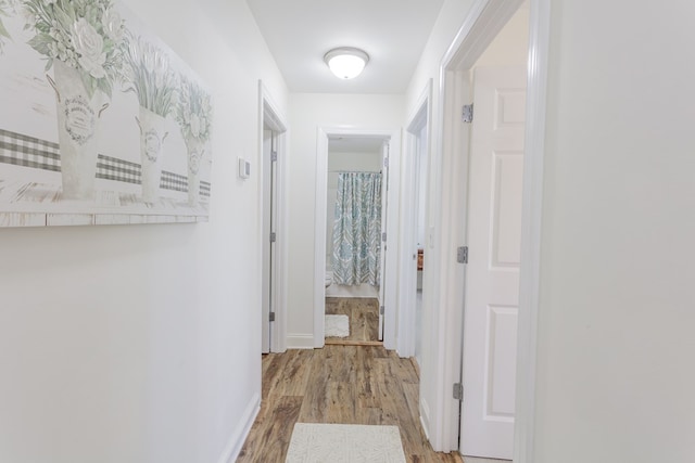 1951 Oxford Ct Unit 10, Dalton, GA 30720 - hall featuring light wood-style flooring and baseboards