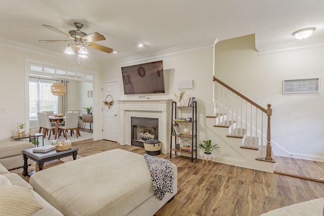 1951 Oxford Ct Unit 10, Dalton, GA 30720 - living room with ornamental molding, stairway, a ceiling fan, wood finished floors, and a fireplace