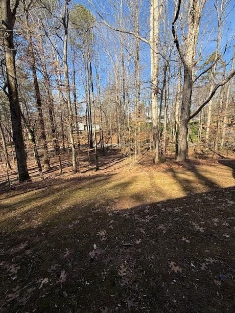 129 Summit Ridge Dr SE, Cartersville, GA 30120 - photo 7