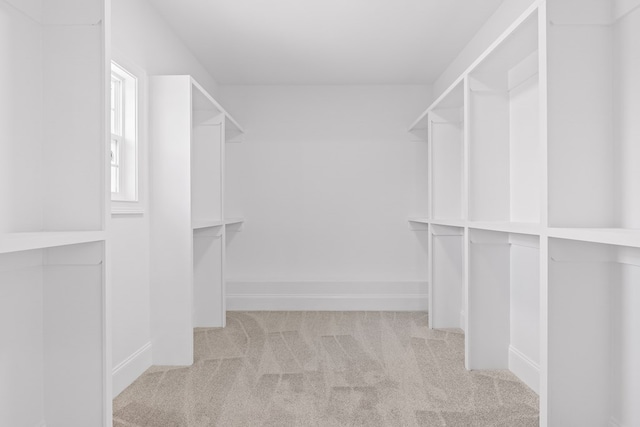 spacious closet with light carpet