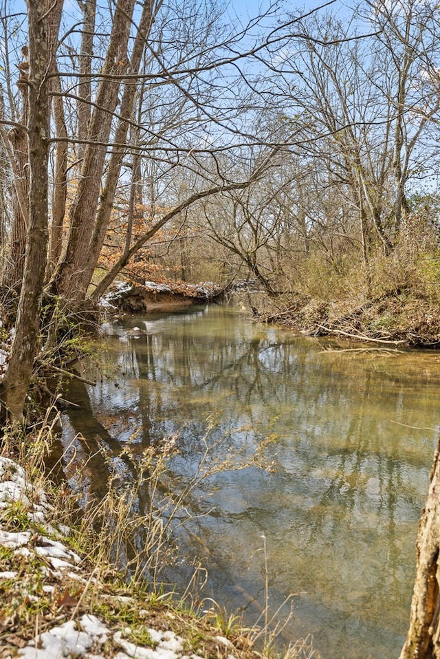 view of water feature