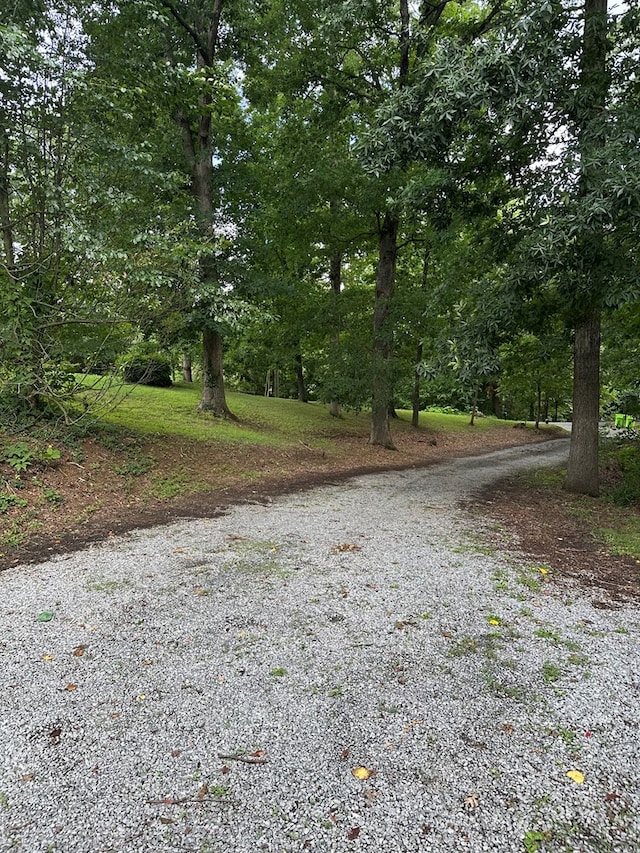 241 Angus Rd, Dalton, GA 30721 - photo 31
