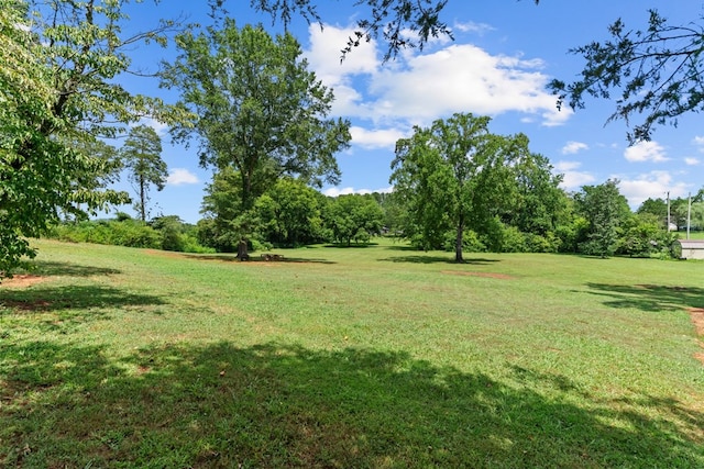 5120 Cleveland Hwy, Cohutta, GA 30710 - view of green lawn