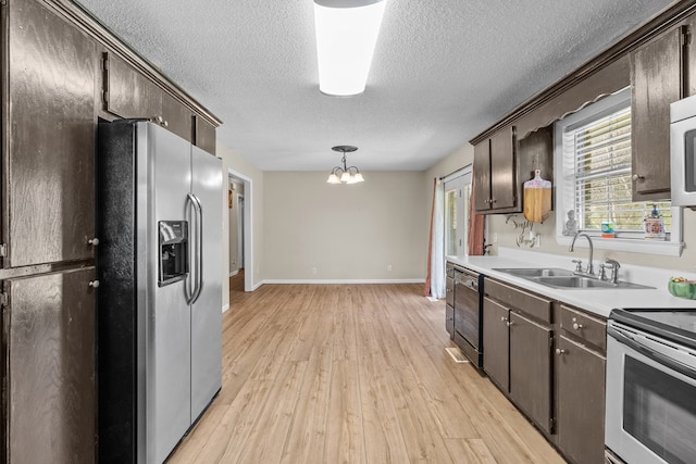 kitchen with dark brown cabinetry, sink, hanging light fixtures, light hardwood / wood-style flooring, and appliances with stainless steel finishes