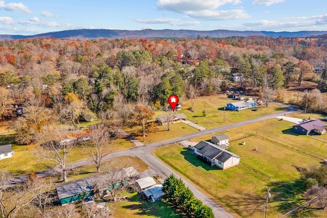 birds eye view of property featuring a mountain view