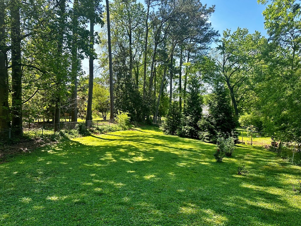 1007 Walnut Ave, Dalton, GA 30720