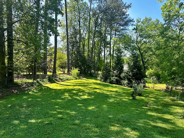 1007 Walnut Ave, Dalton, GA 30720