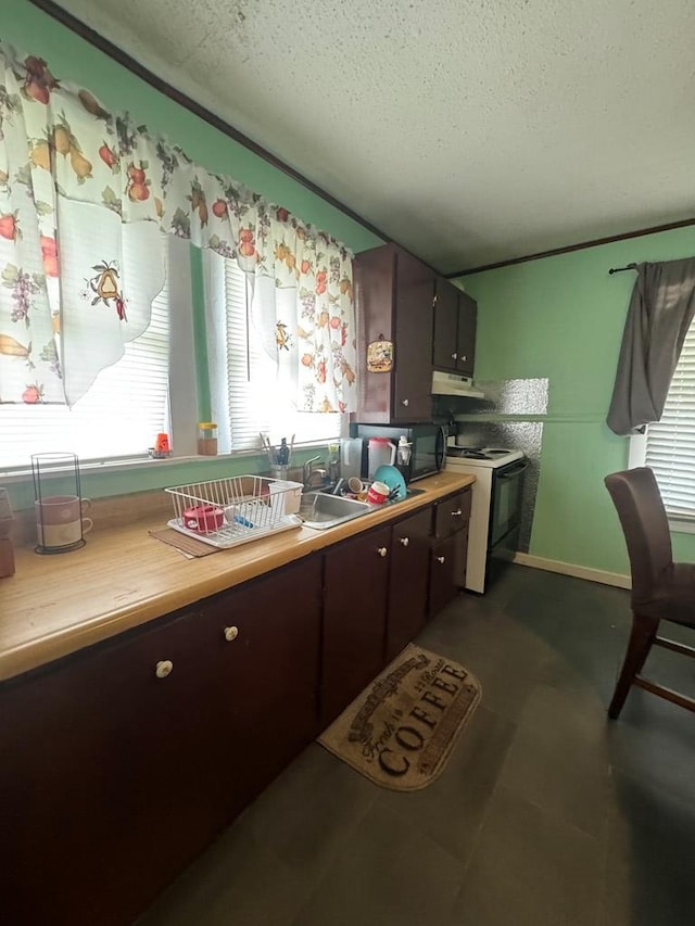 116 Butterfield Dr, Dalton, GA 30721 - kitchen with electric stove, a textured ceiling, under cabinet range hood, dark brown cabinetry, and butcher block countertops