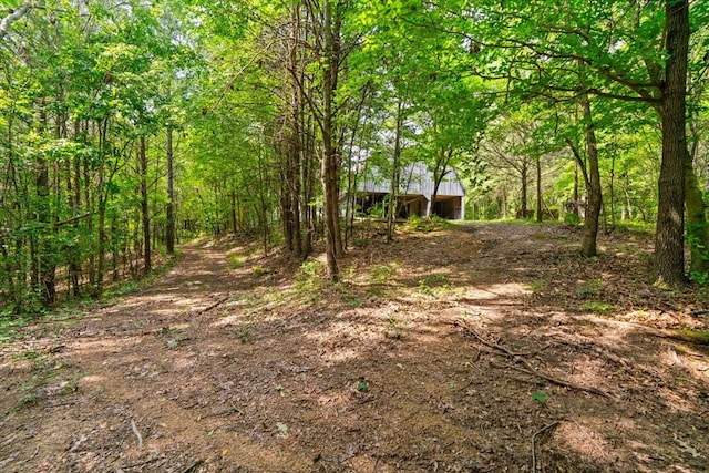 3932 Tibbs Bridge Rd, Dalton, GA 30721 - view of yard featuring a forest view
