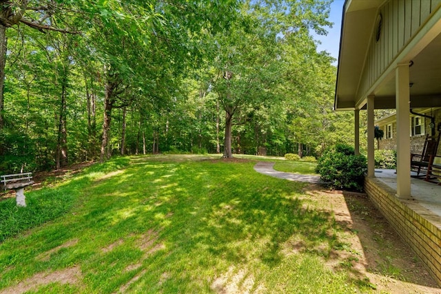 3932 Tibbs Bridge Rd, Dalton, GA 30721 - view of green lawn