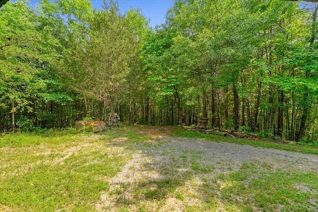3932 Tibbs Bridge Rd, Dalton, GA 30721 - view of yard with a wooded view