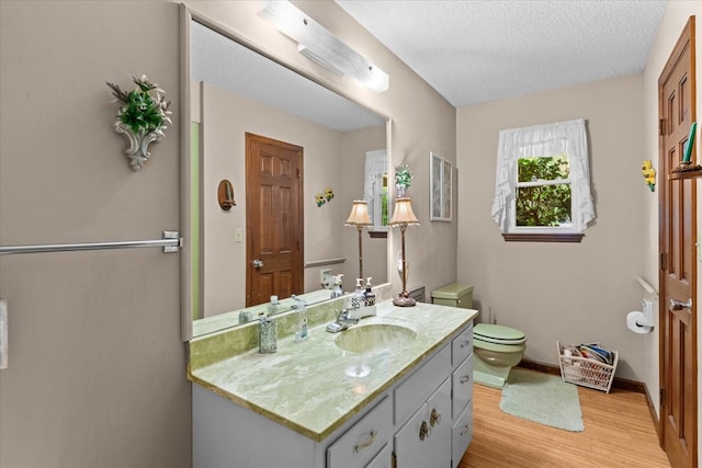 3932 Tibbs Bridge Rd, Dalton, GA 30721 - bathroom with wood finished floors, vanity, and a textured ceiling