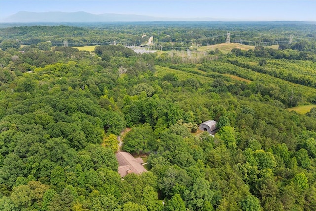 3932 Tibbs Bridge Rd, Dalton, GA 30721 - drone / aerial view of a heavily wooded area