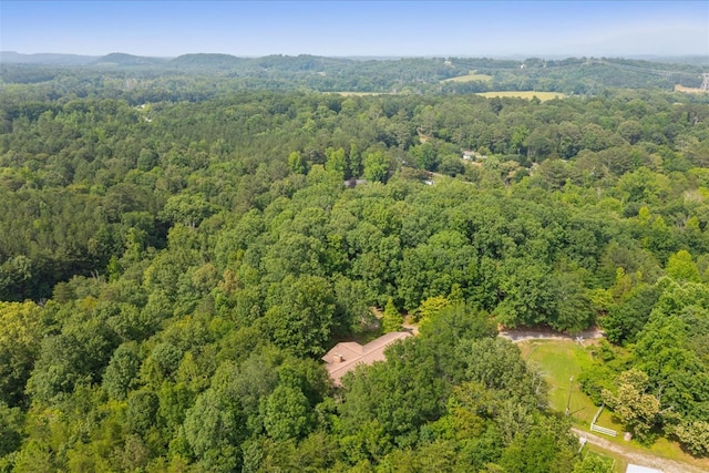 3932 Tibbs Bridge Rd, Dalton, GA 30721 - bird's eye view of a forest