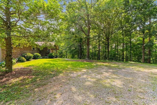 3932 Tibbs Bridge Rd, Dalton, GA 30721 - view of green lawn