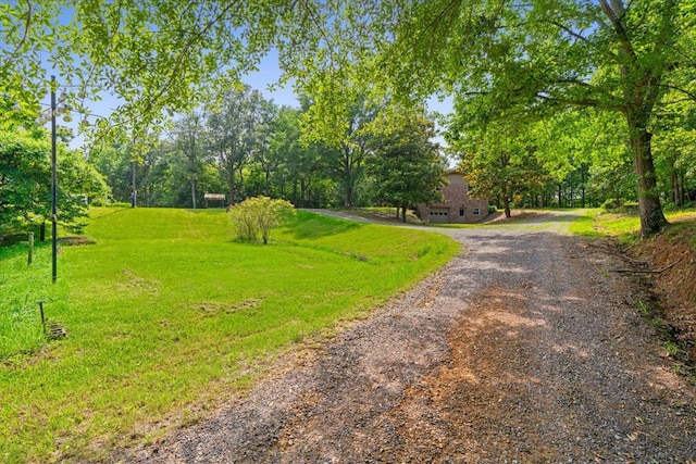 3932 Tibbs Bridge Rd, Dalton, GA 30721 - view of dirt / gravel driveway