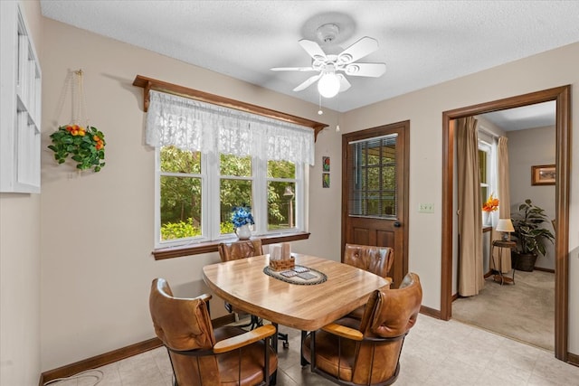 3932 Tibbs Bridge Rd, Dalton, GA 30721 - dining area with ceiling fan and a textured ceiling