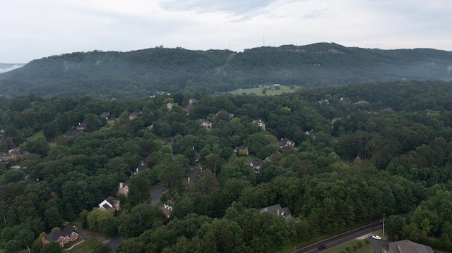 view of mountain feature