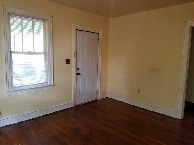 entrance foyer featuring dark wood-type flooring