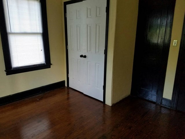 interior space featuring dark hardwood / wood-style floors and a closet