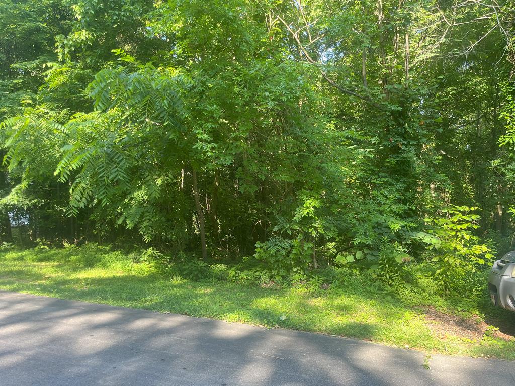 00 Battleline Dr, Rocky Face, GA 30740 - photo 1