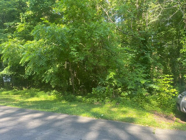 00 Battleline Dr, Rocky Face, GA 30740 - photo 1