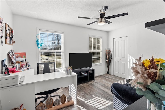 home office featuring ceiling fan, light hardwood / wood-style floors, and a textured ceiling