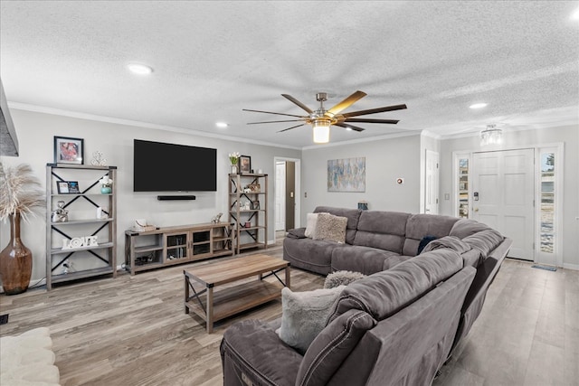 living room featuring crown molding, light hardwood / wood-style flooring, and a textured ceiling