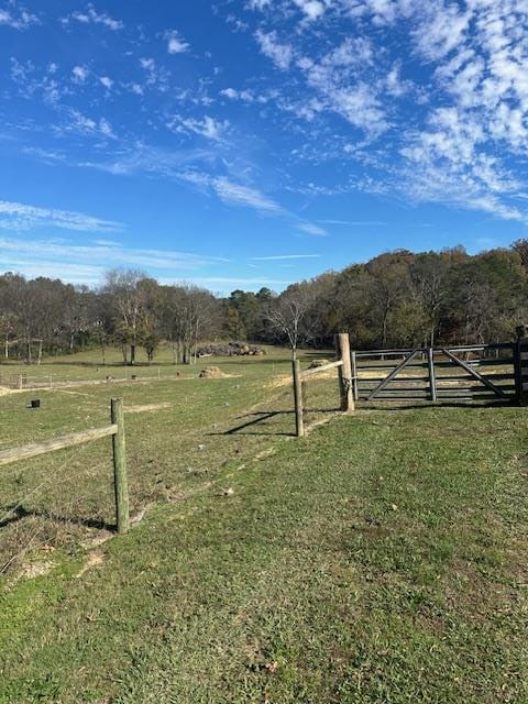 view of yard featuring a rural view