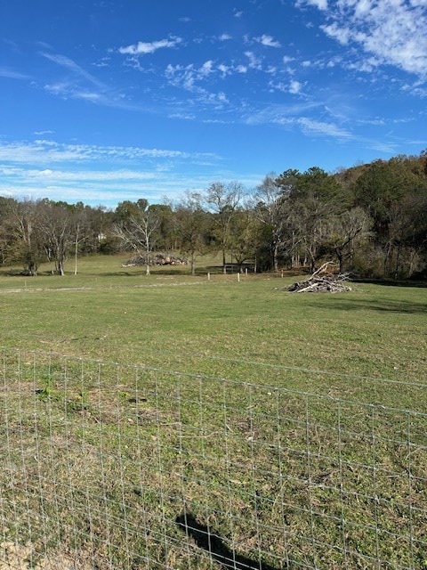 view of yard featuring a rural view