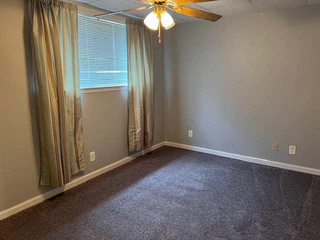 unfurnished room featuring ceiling fan and carpet