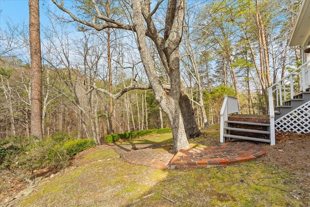 view of yard with stairway