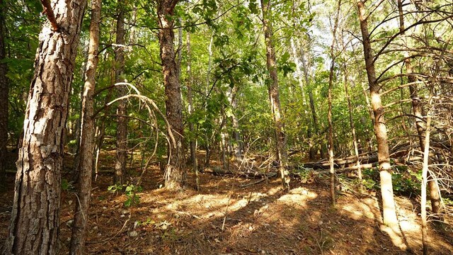 LOT6 Eden Park Dr, Rocky Face GA, 30740 land for sale