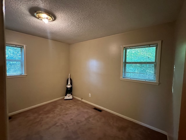 spare room featuring a textured ceiling, a healthy amount of sunlight, and carpet flooring