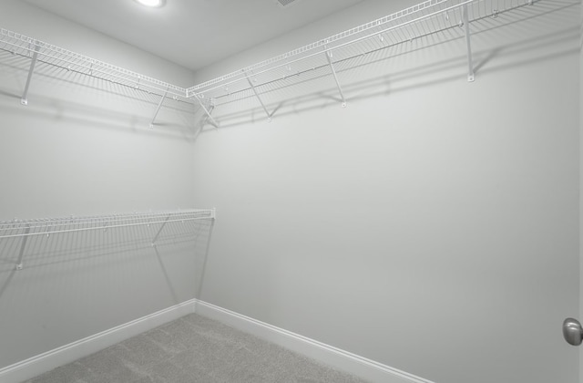 141 Andros Dr, Dalton, GA 30721 - walk in closet featuring carpet flooring