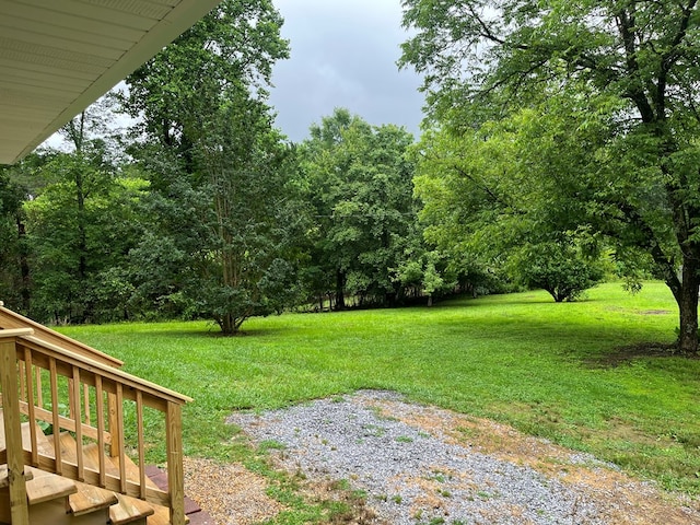 830 Chattanooga Rd, Cohutta, GA 30710 - view of green lawn