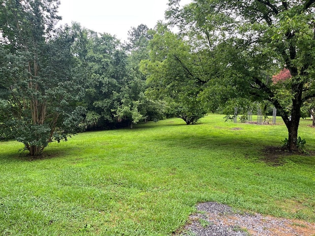 830 Chattanooga Rd, Cohutta, GA 30710 - view of grassy yard