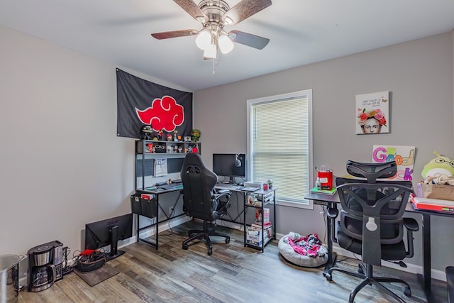 office featuring hardwood / wood-style floors and ceiling fan