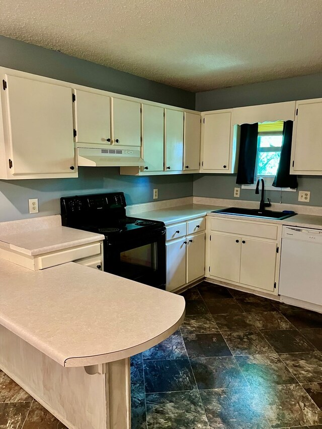 4781 Treetop Ln, Cohutta, GA 30710 - kitchen featuring white dishwasher, a textured ceiling, under cabinet range hood, black / electric stove, and a sink