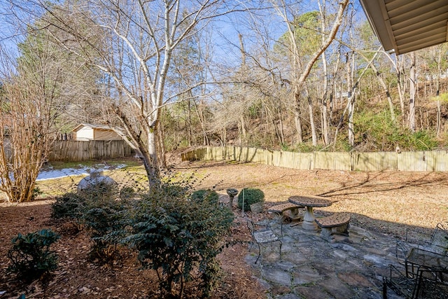 view of yard with a patio