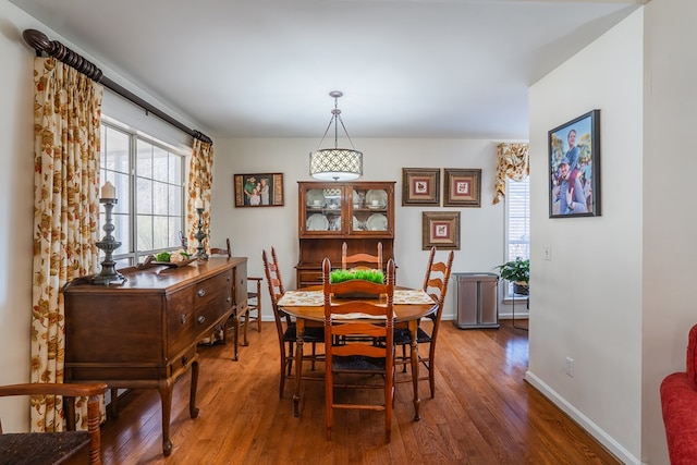 dining room with dark hardwood / wood-style flooring